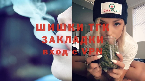 прущие грибы Магадан