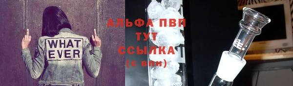 гидра Лихославль
