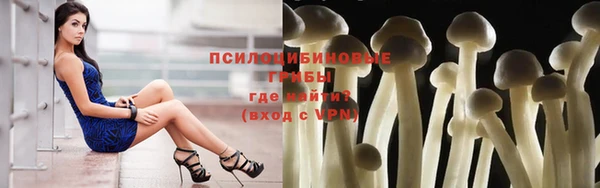 спиды Майский