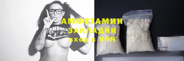 прущие грибы Магадан