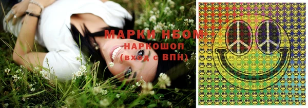 прущие грибы Магадан