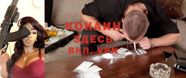 стаф Липки