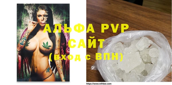 прущие грибы Магадан