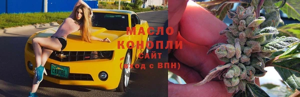 прущие грибы Магадан