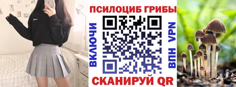 Галлюциногенные грибы Psilocybine cubensis Барнаул