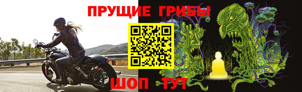 Галлюциногенные грибы MAGIC MUSHROOMS  Барнаул  Галлюциногенные грибы Psilocybine cubensis 