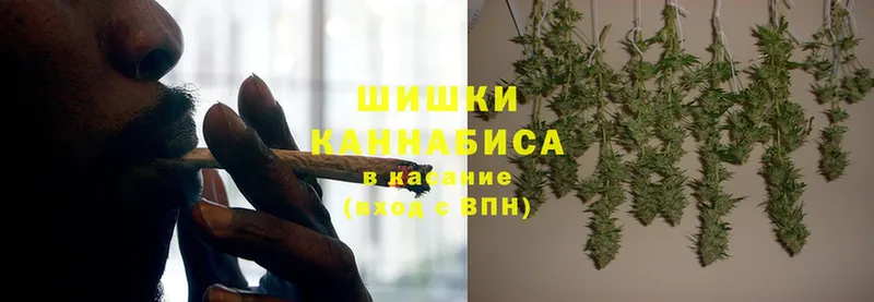 Шишки марихуана OG Kush  Барнаул 